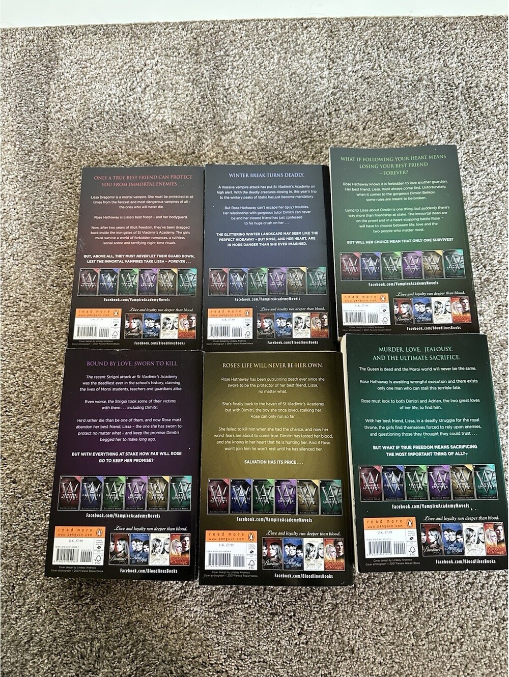 Richelle Mead Vampire Academy Novels Set  1-6 Paperback Book Lot Pre-owned - Picture 3 of 6